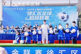 厄瓜多尔世界杯之旅揭秘南美之狮的防守战术
